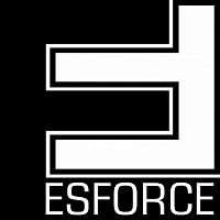 Стажировка в коммерческом департаменте ESforce Holding
