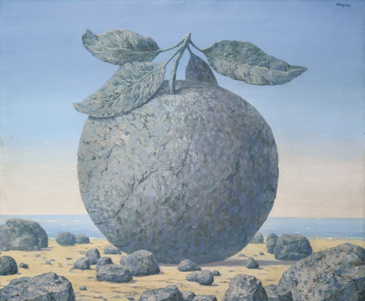 «Большая Еда» ушла за 6,6 миллиона долларов (ВИДЕО)