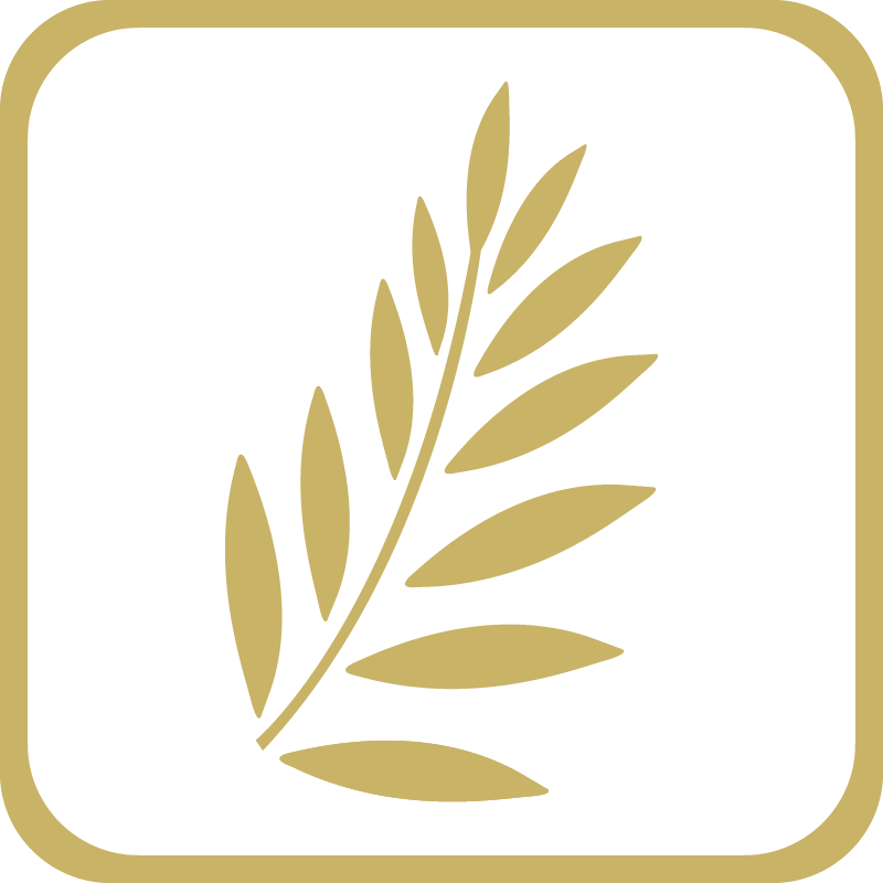 Объявлены финалисты XVIII-й Национальной премии «Пальмовая ветвь ресторанного бизнеса»