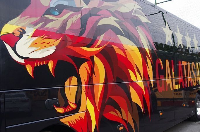 Молодые Львы