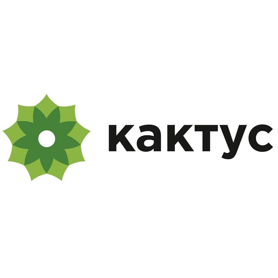 Глава Qiwi Сергей Солонин инвестировал в конструктор интернет-магазинов «Кактус»  