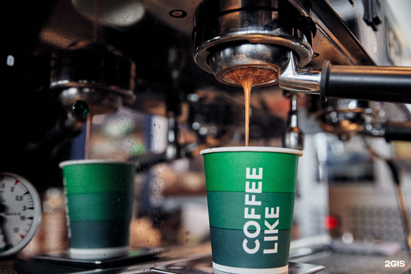 Сеть Coffee Like поглотила своего конкурента Coffee Moose