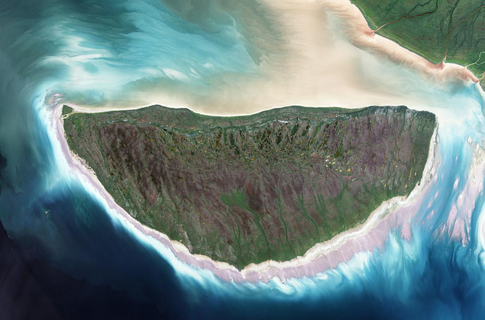 Хроники планетарной повседневности (ВИДЕО) 