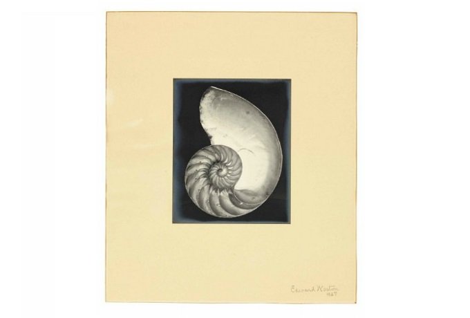 Самым дорогим лотом стала «Ракушка» Эдварда Вестона