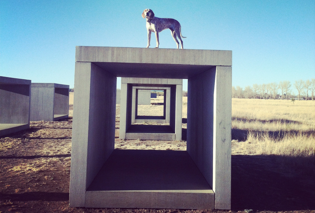 Приглашаем на лекцию Ирины Кулик 