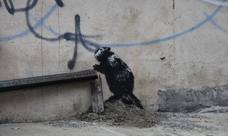 «Если вы хотите это сфотографировать, сначала заплатите» 