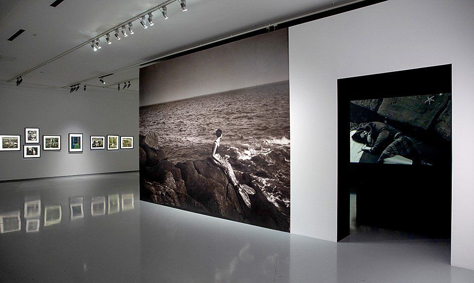 МАММ отмечает свое 25-летие семью новыми выставочными проектами 