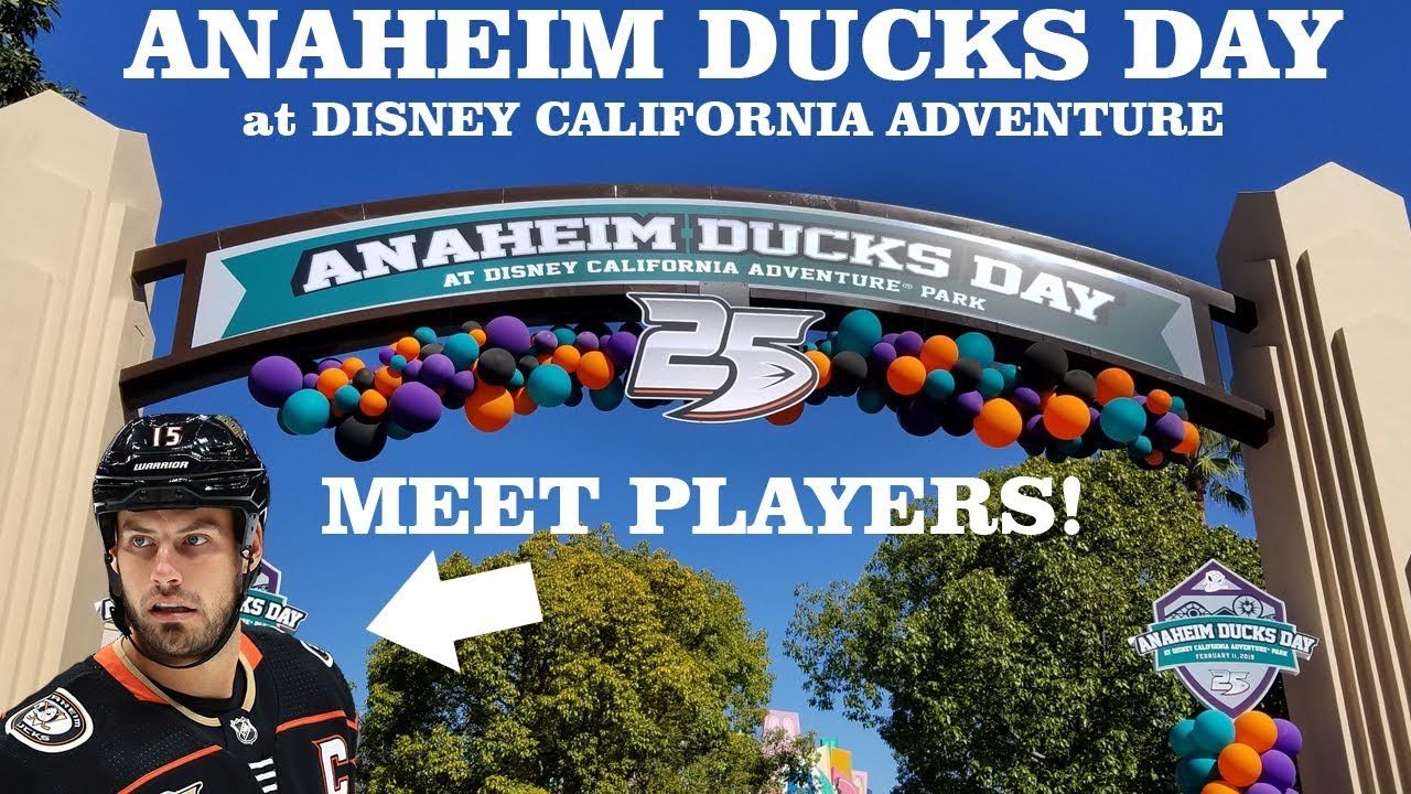 Утиные истории (ФОТО и ВИДЕО)