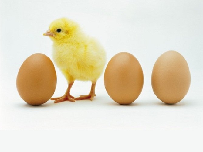 Американский бизнес-инкубатор Plug & Play откроет филиал в России