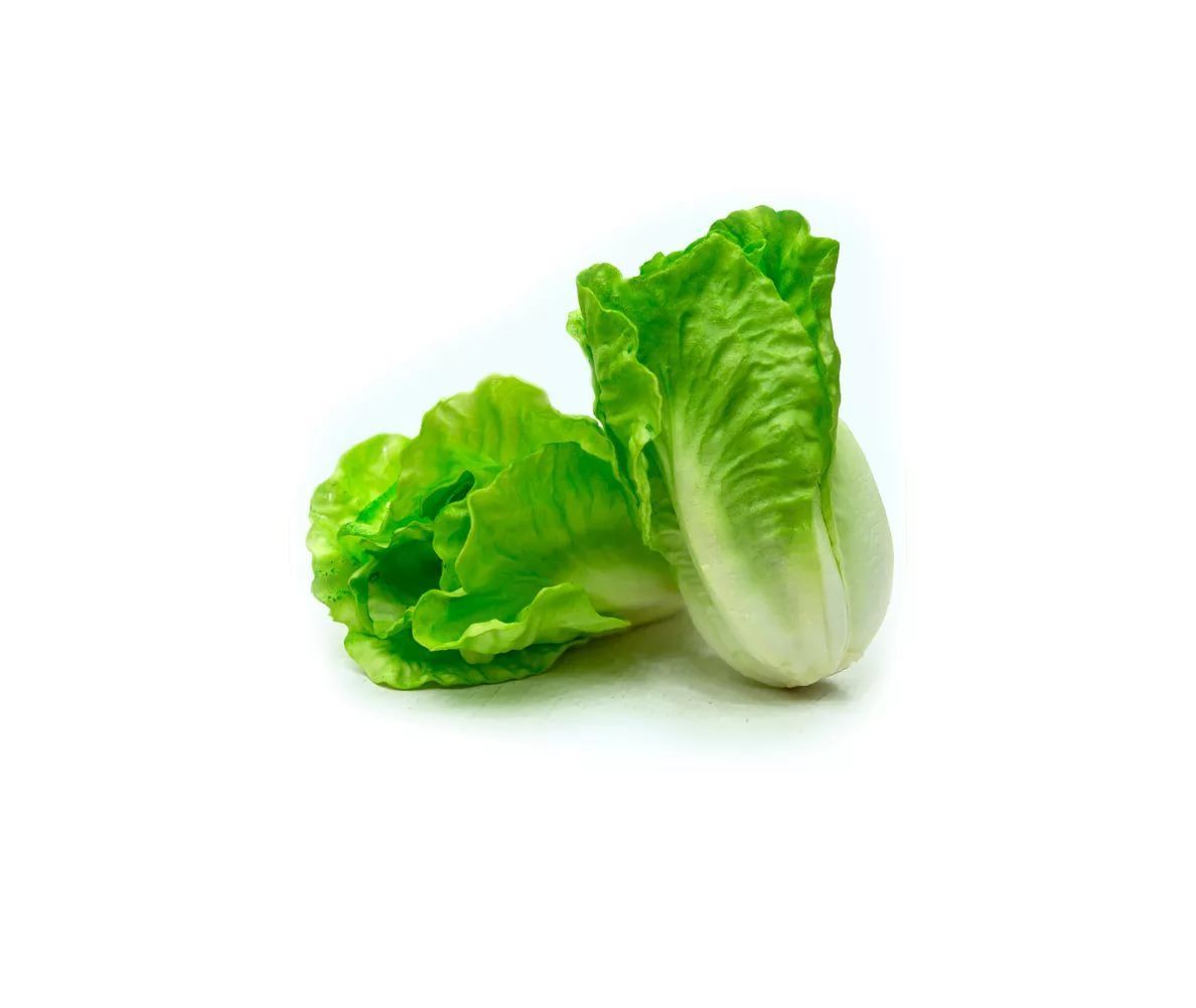 В Москве запускается сеть салат-баров OverSalad, первое заведение откроется на Сухаревской