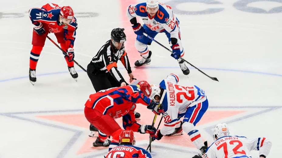 Опрос ВЦИОМ: 27 процентов россиян считают «главным национальным видом спорта» хоккей, у футбола и фигурного катания - по 9 процентов голосов 